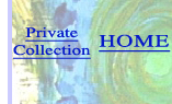 home button